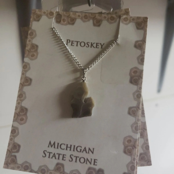 Michigan SHAPED Petosky STONE Pendant NECKLACE Gift - Picture 2 of 8